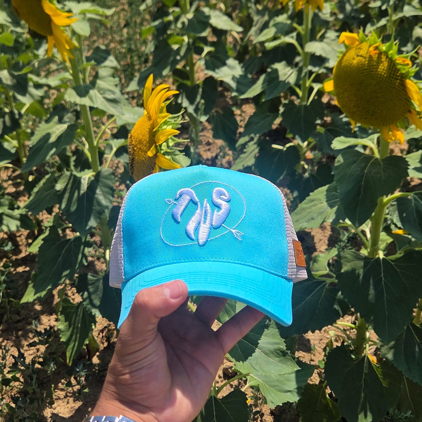 Hat trucker